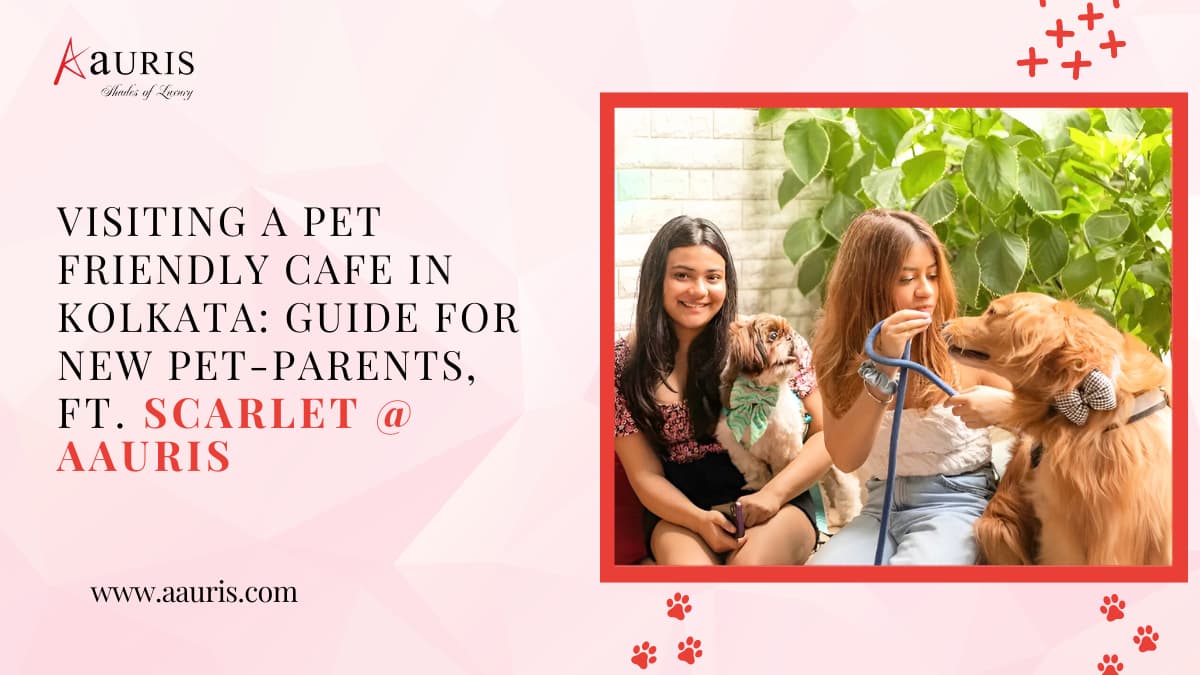Visiting A Pet-Friendly Cafe In Kolkata: Guide For New Pet-Parents, Ft. Scarlet @ Aauris