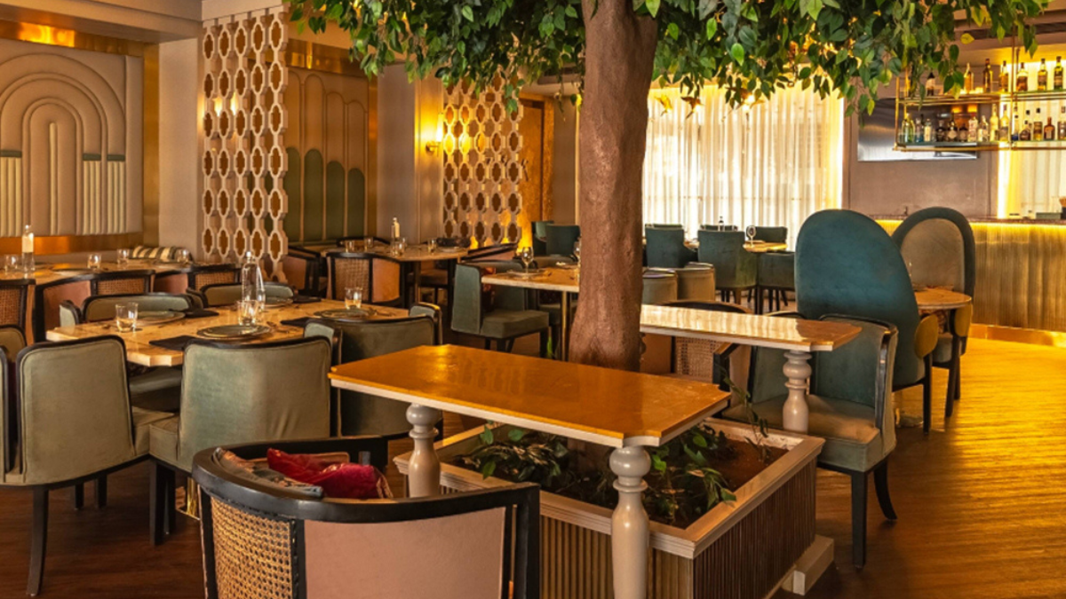Date Night Dilemmas: Choosing the Perfect Restaurant for Every Mood