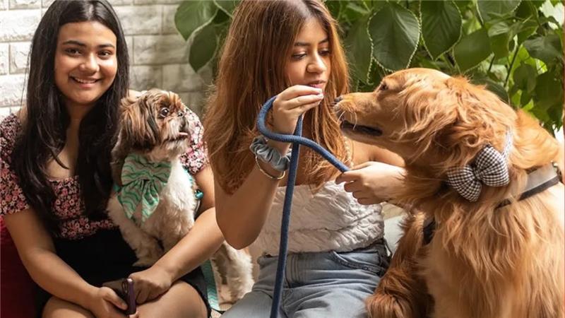 Pet-Friendly Cafe in Kolkata: Where Paws and People Mingle, Ft. Scarlet